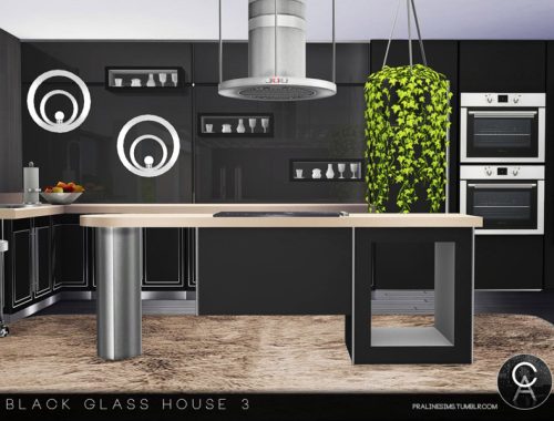 Black Glass House 3