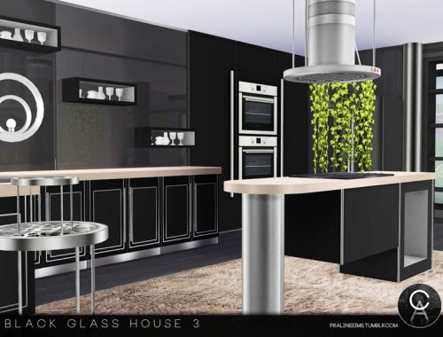 Black Glass House 3