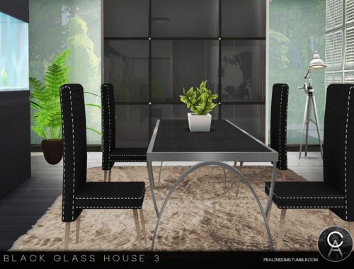 Black Glass House 3