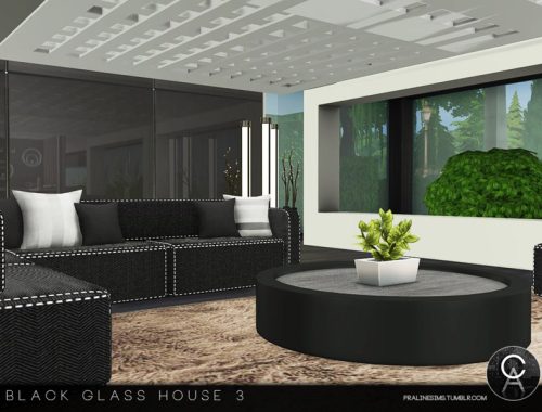 Black Glass House 3