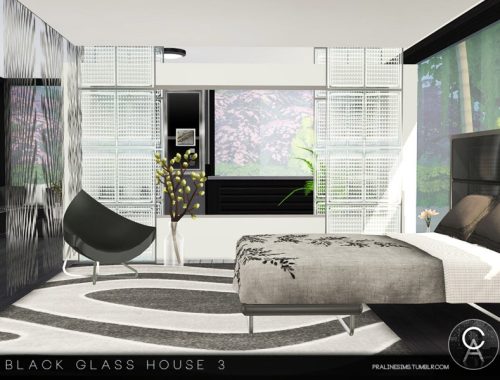 Black Glass House 3