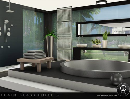 Black Glass House 3