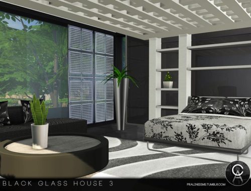 Black Glass House 3