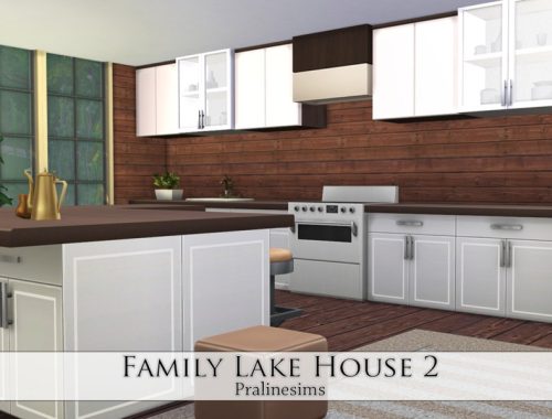 Family Lake House 2