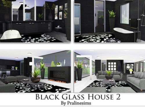 Black Glass House 2