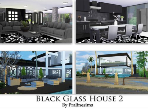Black Glass House 2