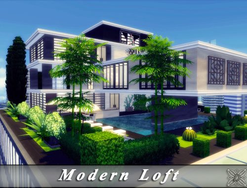 Modern Loft