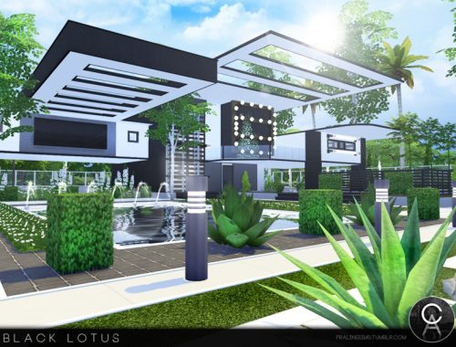 Black Lotus