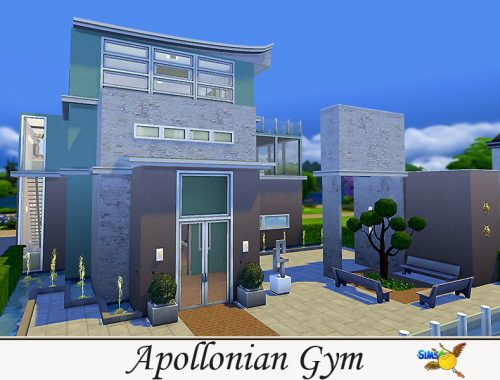evi Apollonian Gym