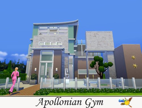 evi Apollonian Gym