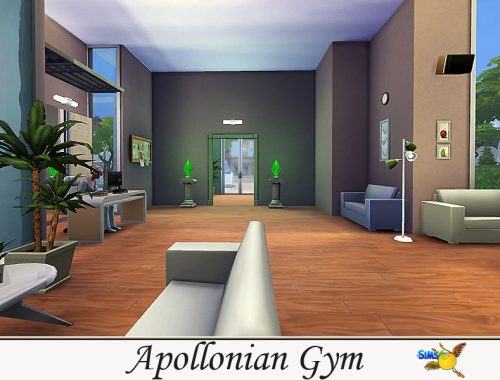 evi Apollonian Gym