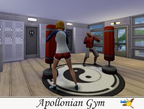 evi Apollonian Gym
