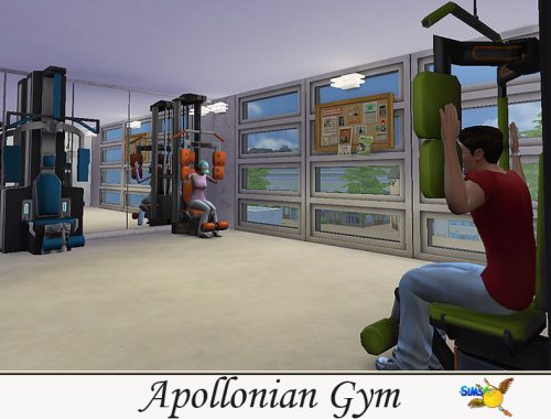 evi Apollonian Gym