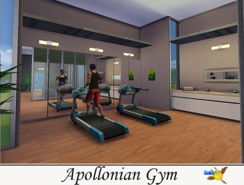 evi Apollonian Gym