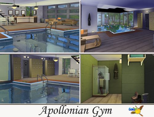 evi Apollonian Gym