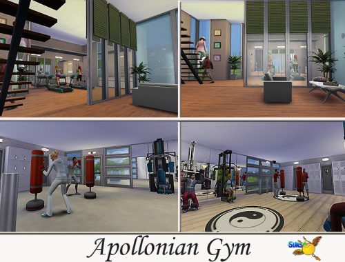evi Apollonian Gym
