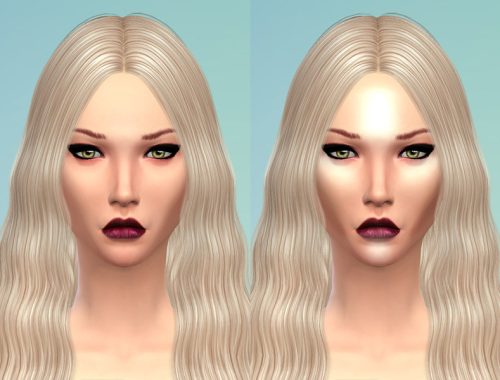 Blush and Highlighter