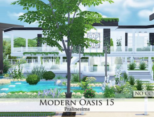 Modern Oasis 15
