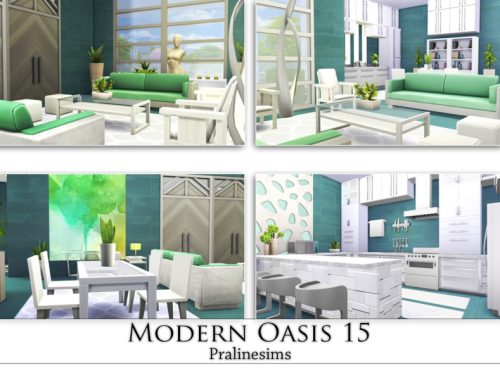 Modern Oasis 15