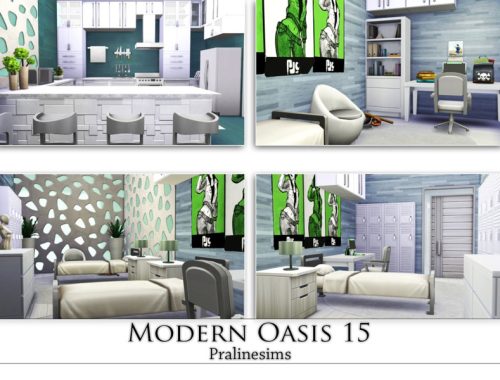 Modern Oasis 15