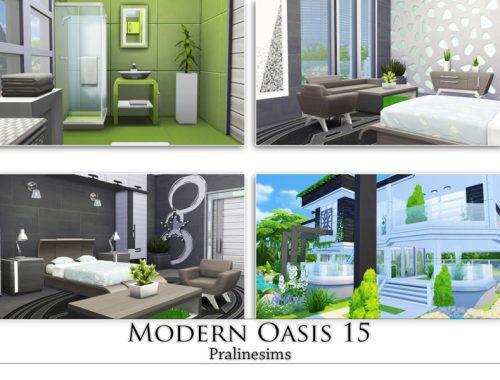 Modern Oasis 15