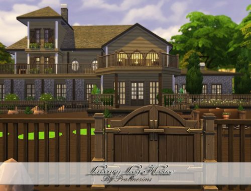 Luxury Log House