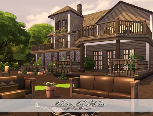 Luxury Log House