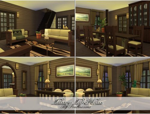 Luxury Log House