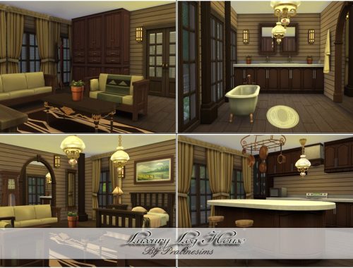 Luxury Log House