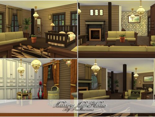 Luxury Log House
