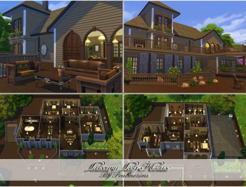 Luxury Log House