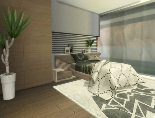 Modern Desert Home