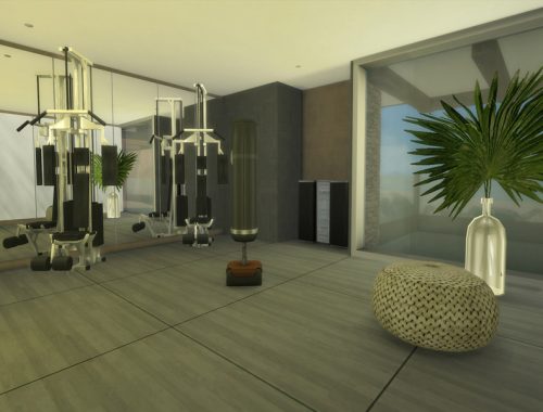 Modern Desert Home