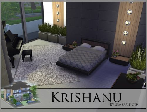 Krishanu