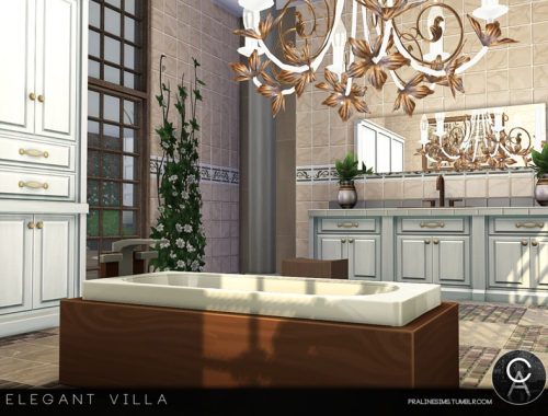 Elegant Villa