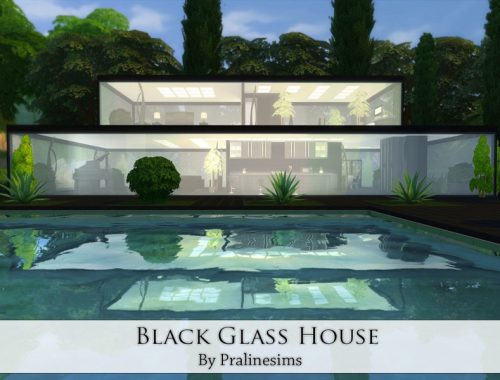 Black Glass House