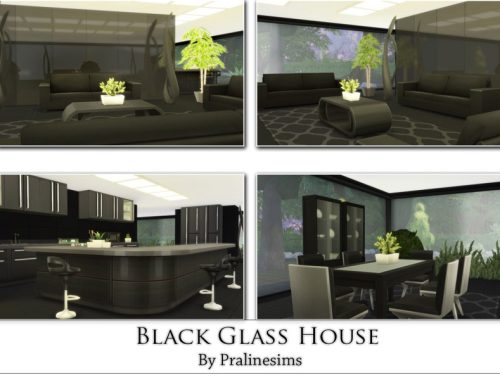 Black Glass House