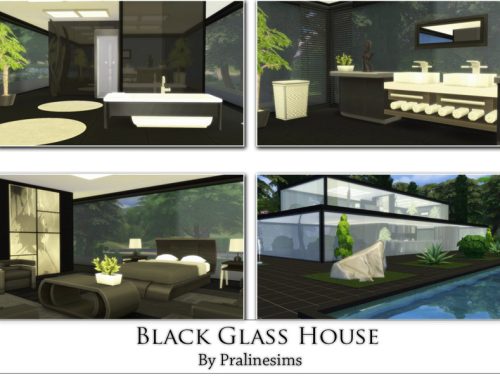 Black Glass House