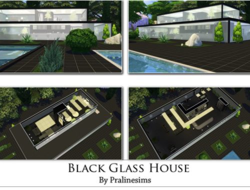 Black Glass House