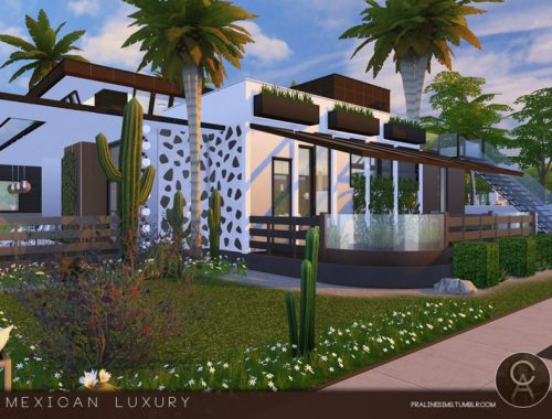 Mexican Luxury
