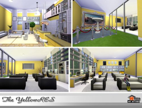 The Yellow RES