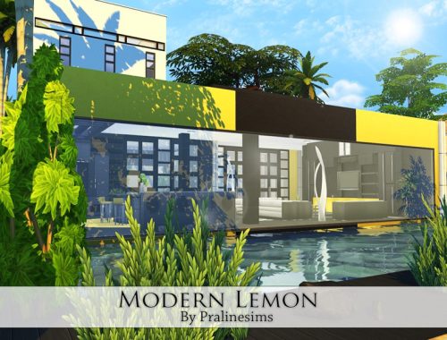 Modern Lemon