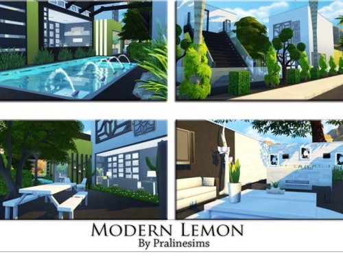 Modern Lemon