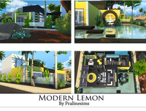 Modern Lemon