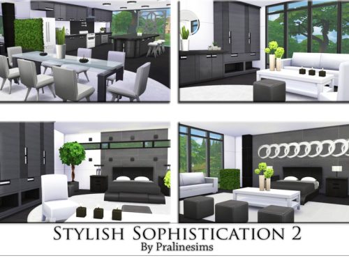 Stylish Sophistication 2