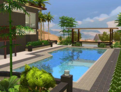 Oasis Modern