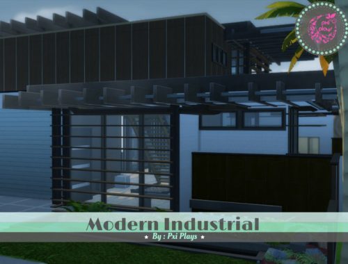 Modern Industrial Home