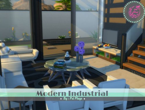 Modern Industrial Home
