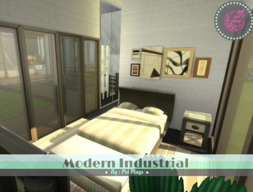 Modern Industrial Home