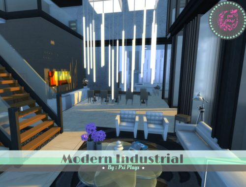 Modern Industrial Home
